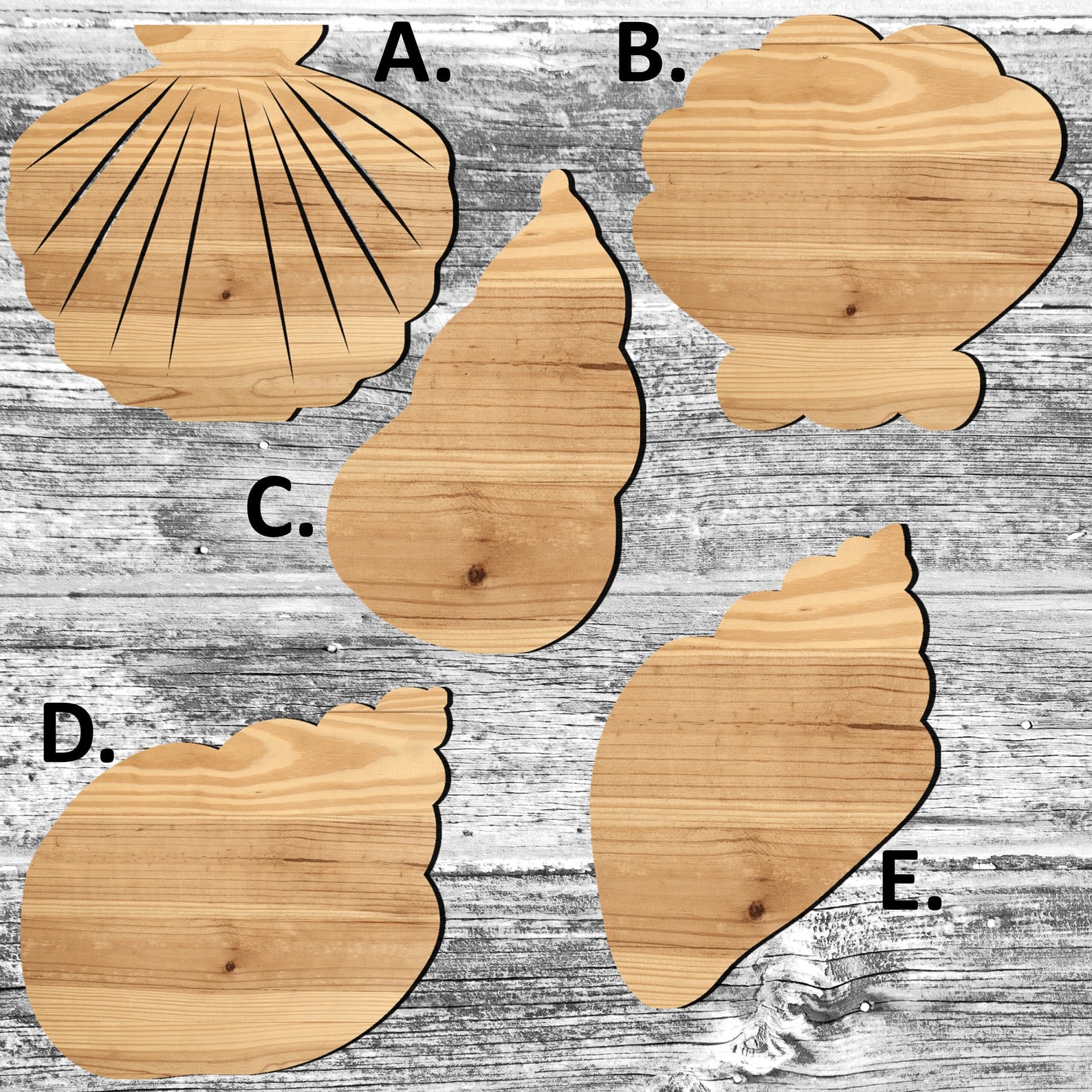 Unfinished Sea Shells or Painted Wood Cutouts Set, Wooden Seashell ...