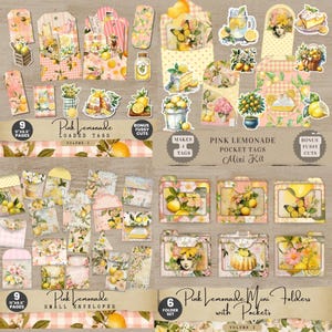 a collection of various items related to the theme of pink lemonade, including small envelopes, mini folders, and other decorative elements. The items are arranged in a grid-like pattern, showcasing different designs and patterns that evoke the essence of a pink lemonade theme.