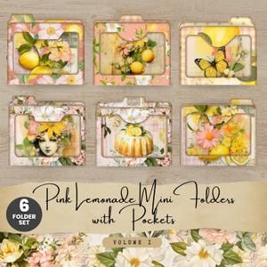 Pink Lemonade Mini Folder Kit  Floral Junk Journal Ephemera with Pockets  Vintage Downloadable Glue Book Inserts