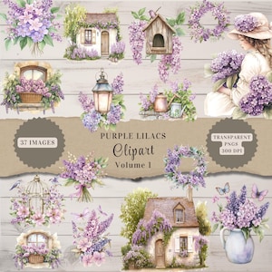 Lilac Watercolor Wildflower Clipart Volume 1, Soft Purple Spring Floral Clipart, Purple Lilac Clipart, Lavender, Digital Download - JJ04