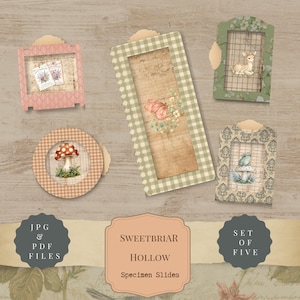 May include: A set of five decorative specimen slides featuring various shapes and patterns, including a pink square, a green rectangle, a round orange gingham frame, and two rectangular frames with floral, deer, and frog illustrations. Text reads: SWEETBRIAR HOLLOW Specimen Slides, JPG & PDF FILES, SET OF FIVE.