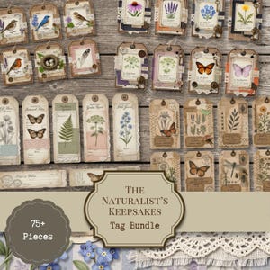 May include: A collection of rectangular paper tags featuring vintage-style botanical and zoological illustrations, including birds, butterflies, flowers, and insects. The tags are decorated with lace, buttons, and text, labeled The Naturalist's Keepsakes.