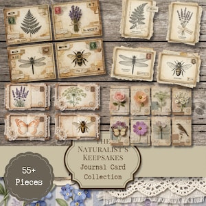 Naturalist Journal Cards: Vintage Botanical and Insect Prints