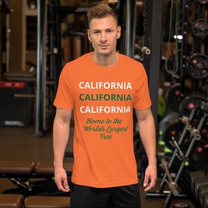 May include: Orange t-shirt with the text "CALIFORNIA" repeated three times and the text "Home to the World's Largest Tree" in green lettering.