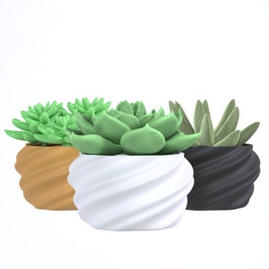 3D Printed Home Decor Spiral Design Contemporary Flower Pot for Succulents and Cacti
