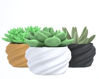 3D Printed Home Decor Spiral Design Zeitgenössischer Blumentopf für Sukkulenten und Kakteen
