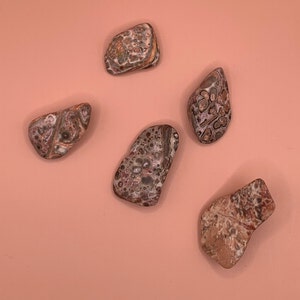 Leopard Skin Jasper Tumble