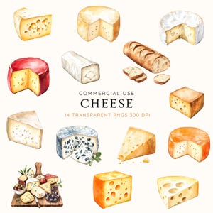 Set di clipart di formaggio - 14 illustrazioni di formaggio, tagliere di formaggio PNG digitale, SVG, vettore, clip art di cibo