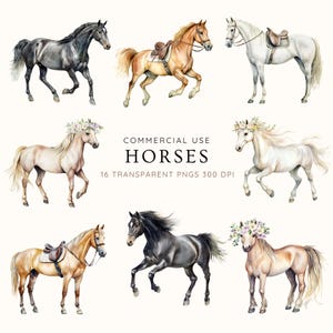 Clipart cheval, aquarelle couronne de fleurs ou art cheval sellé, décoration murale équestre, peinture Mustang sauvage, cadeau cheval de ferme de campagne