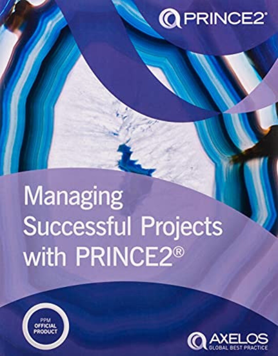 Managing Successful Projects With PRINCE2 (2017) - PDF - Etsy UK