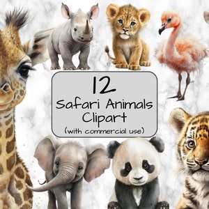 Safari Animal Clipart PNG Pack, Cute Safari Animals Clipart, Watercolor Baby Zoo Animals Clipart Digital Files, Safari Sublimation
