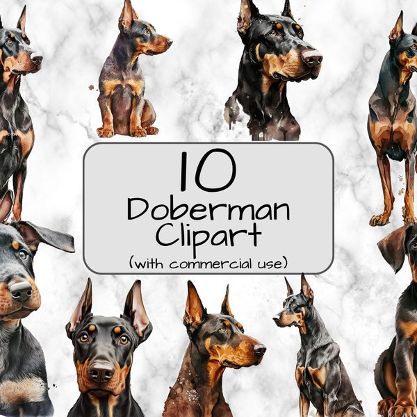 Watercolor Doberman Pinscher Clipart. Digital Art & Sublimation. PNG format. Instant download. Commercial use. Doberman clipart. Dobie png.