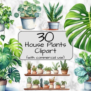 Clipart de planta de interior en acuarela. Arte digital y sublimación. Formato PNG. Fondo transparente. Planta de interior en formato PNG. Clipart de planta de interior.