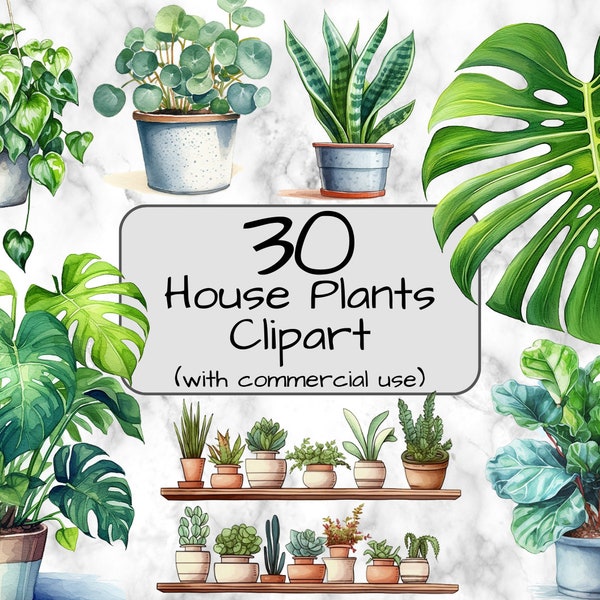 Watercolor House Plant Clipart. Digital Art & Sublimation. PNG format. Transparent Background. House plant png. Indoor plant clipart.