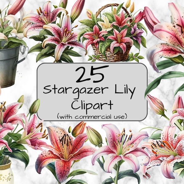 Watercolor Stargazer Lily Clipart. Pink Lilies. Spring Flowers. Digital Art & Sublimation. PNG Format. Instant download. Commercial Use.