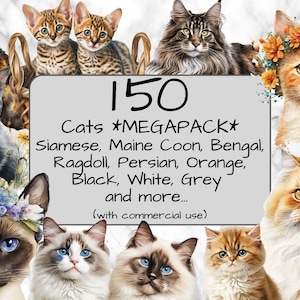 150 Watercolor Cats MEGAPACK. Digital Art & Sublimation. Cat clip art. Commercial use. PNG format. Instant Download. Cute cats and Kittens