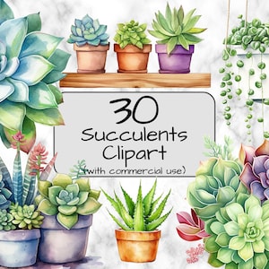Aquarell Sukkulenten Clipart. Zimmerpflanze Clipart. PNG-Format. Transparenter Hintergrund. Kommerzielle Nutzung. Digitale Kunst & Sublimation. Süße Pflanze