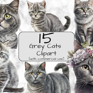 Aquarel grijze katten clipart. Digitale kunst en sublimatie. Kat illustraties. Commercieel gebruik. PNG-formaat. Directe download. Leuke katten en kittens