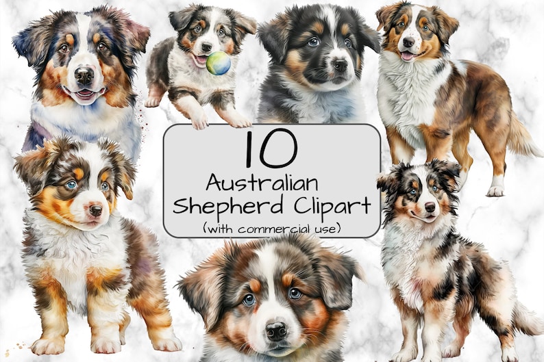 Watercolor Australian Shepherd Clipart. Digital Art &amp; - Etsy