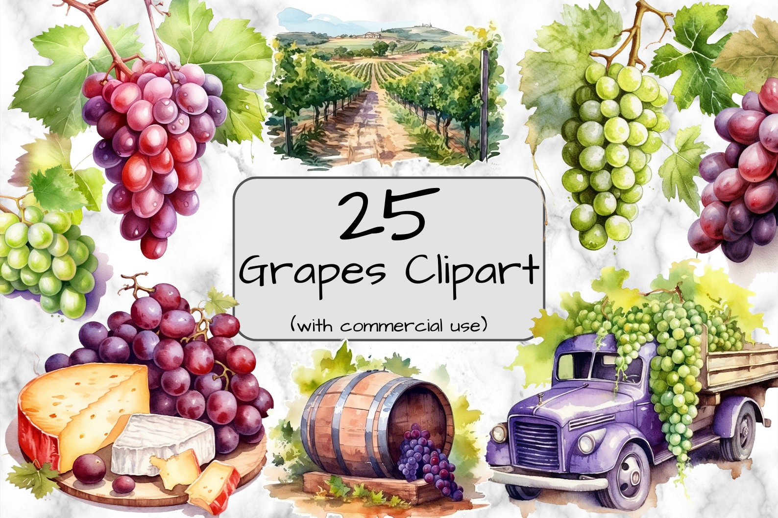 Watercolor Grapes Clipart. Fruit Clipart. PNG Format. Etsy
