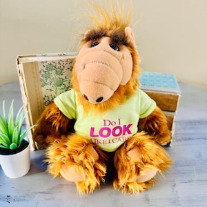 May include: A plush ALF doll with brown fur, a tan snout, and large black eyes. The doll wears a light green t-shirt with the text "Do I LOOK LIKE I CARE" in pink. The doll is sitting in front of a stack of books and a small potted plant.