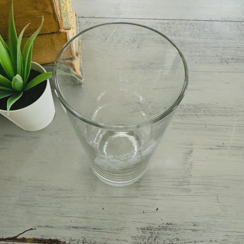 Pu&ograve; includere: Un bicchiere da bevanda trasparente con una forma leggermente svasata. Il bicchiere ha un motivo floreale vicino alla base. Una piccola pianta succulenta in vaso e un libro sono sullo sfondo, su una superficie di legno imbiancato.