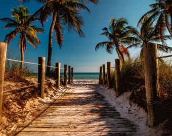 Può includere: Una passerella di legno conduce a una spiaggia con palme su entrambi i lati. La passerella è fatta di assi di legno consumate ed è circondata da sabbia bianca. Il mare è visibile in lontananza.