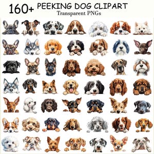 May include: A selection of over 160 transparent PNG clipart images of different dog breeds. Each image shows a dog's head and paws, as if they are peeking over something. The text "PEEKING DOG CLIPART" is displayed at the top.