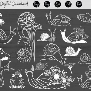 Blumen Schnecke svg Schnecke svg Schnecke png Schnecke Schnecke Clipart niedliche Schnecke svg niedliche Schnecke Clipart Frühling svg Tier svg, niedliches Tier svg
