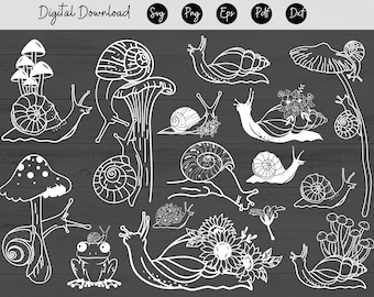 Floral snail svg snail svg snail png snail snail clipart cute snail svg cute snail clipart spring svg animal svg, cute animal svg