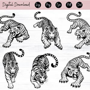 Puede incluir: Descarga digital con seis ilustraciones de tigres en blanco y negro en varias poses. Los tigres están representados con rayas detalladas y expresiones feroces, con el texto "Digital Download" en la parte superior.