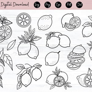 Lemons SVG file, Lemon Border SVG file, Summer svg, Lemon cut file,Summer cut file, Lemonade stand svg file, Lemon Bundle svg, Lemonade svg