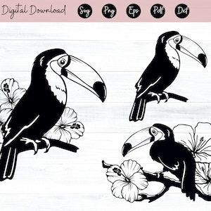 Toucan SVG Cut File, Toucan Tropical Flowers svg, Hibiscus SVG, Tropical Leaves SVG, Summer svg, Tropical Floral svg, Vacation svg