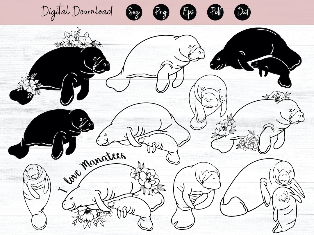 Manatee Svg Bundle Family Manatee Svg Ocean Creatures Svg Manatee Cut