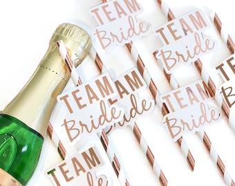 Team Bride Straw Set, Bride to Be, Drinking Straw, Hen Party, Bridal Party, Christmas Bride Party Favours, Rose White