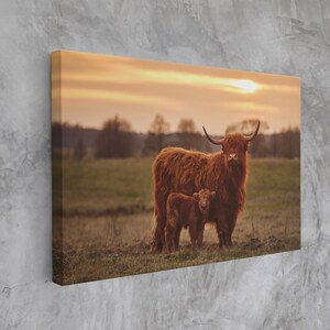Highland Cow Wall Art, Huge Canvas Home Decor, Farm Canvas, Highland Cow Wall Decor, Farm Art, Highland Cow