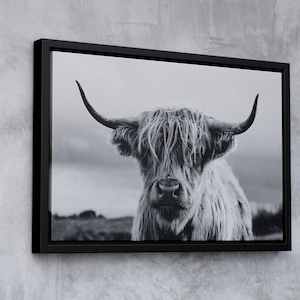 Highland Cow Wall Art, Huge Canvas Home Decor, Farm Canvas, Highland Cow Wall Decor, Farm Art, Highland Cow