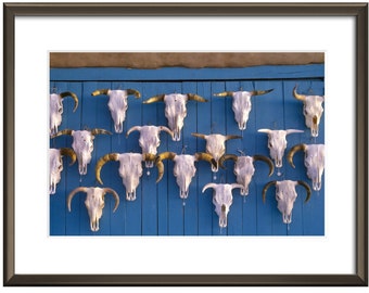 Fine Art Original Print | Wall Decor | Photograph | "Skulls for sale, Taos, New Mexico"