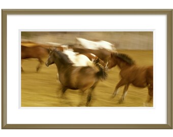 Fine Art Original Print | Wall Decor | Photograph | "Horses in motion, Double E Dude Ranch, New Mexico"