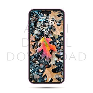 May include: A smartphone with a purple frame displays a fall-themed wallpaper. The wallpaper features a mix of brown and tan leaves, acorns, and small stones. A vibrant red, orange, and yellow leaf is the focal point. The time is 3:25, and the date is Thursday, March 9.