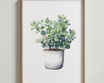 Jade Pflanze, botanische Aquarell, Topfpflanze Wandkunst, druckbare Wanddekoration, sofortiger digitaler Download, Wandkunst, grüne Wandkunst