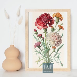 Carnation Botanical Wall Art  | Digital Print Download | Botanical Illustration | Floral Print | Modern Home Decor | Printable Wall Art Set