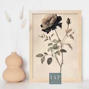 Black Rose Botanical Wall Art | Floral Print Illustration | Digital Download | Office Decor | Goth Flower| Black and White | Living Room