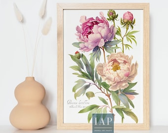 Peony Botanical Wall Art | Digital Print Download |  Peony Flower Print Illustration | Botanical Illustration | Modern Home Decor | Peonies