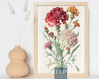 Carnation Botanical Wall Art  | Digital Print Download | Botanical Illustration | Floral Print | Modern Home Decor | Printable Wall Art Set