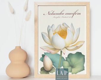 Lotus Botanical Wall Art | Digital Print Download |  Floral Print Illustration | Botanical Illustration | Modern Home Decor | Boho Style