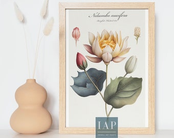 Lotus Botanical Wall Art | Boho Wall Decor |  Minimalist Wall Art Digital Print Download | Tropical Print Illustration | Rental Property Art