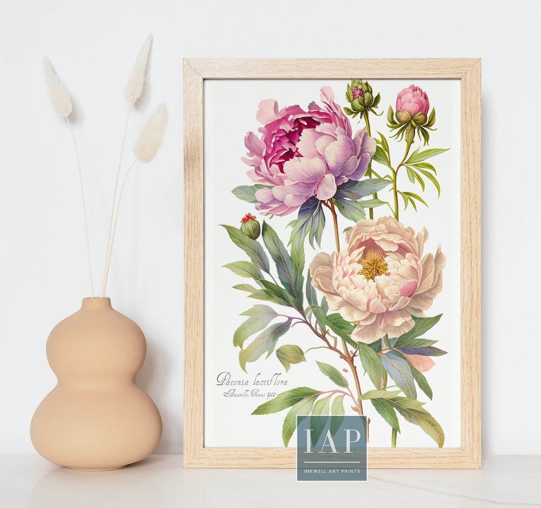 Peony Botanical Wall Art | Digital Print Download | Peony Flower Print ...