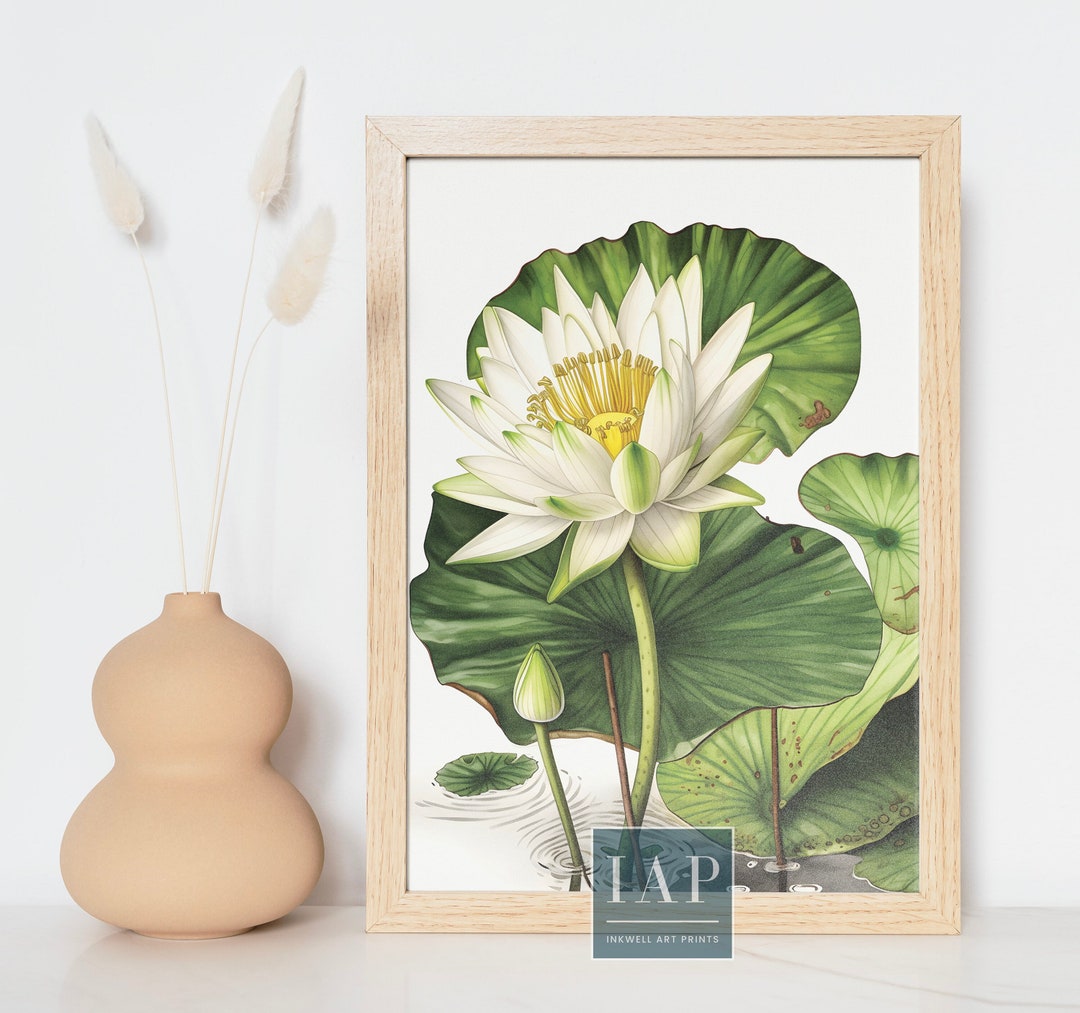Water Lily Wall Art | Minimalist Wall Art Digital Print Download ...