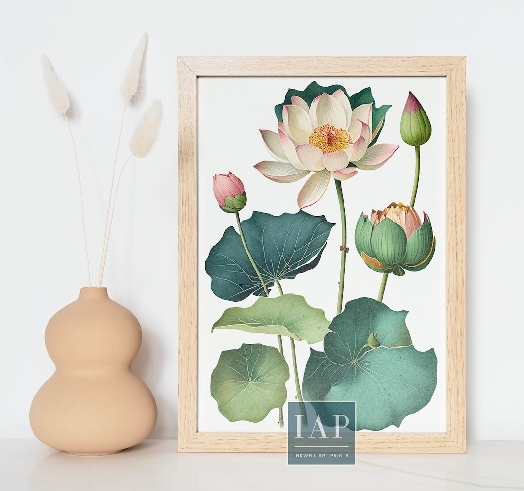 Lotus Botanical Wall Art | Digital Print Download | Floral Print ...